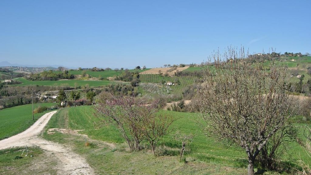 wpid-13886_terrenoagricoloimu.jpg