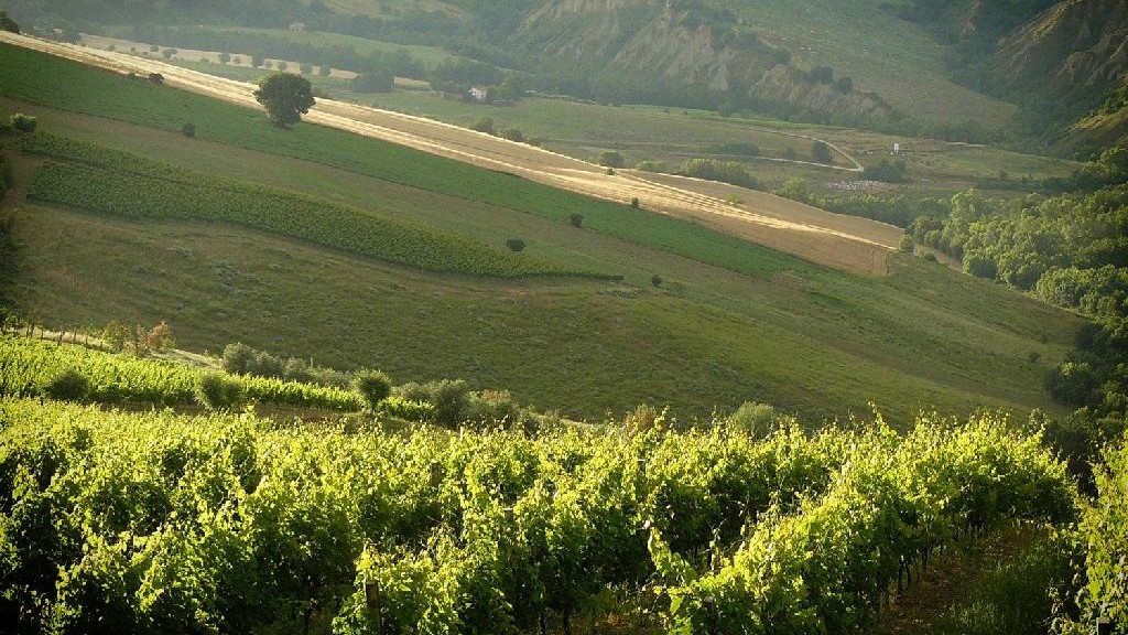 wpid-24550_paesaggio.jpg