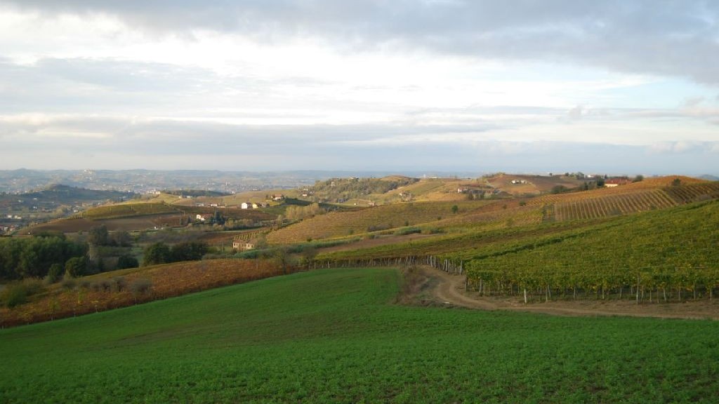 wpid-25995_monferrato.jpg