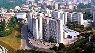 wpid-2610_ospunivnapoli.jpg