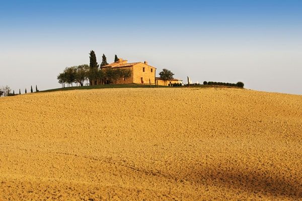 wpid-2730_terrenoagricolo.jpg