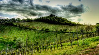 wpid-3195_monteveglio.jpg