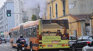 wpid-4062_smog.jpg