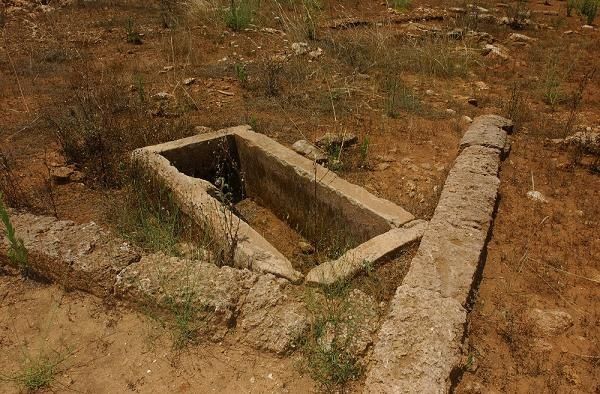 wpid-493_restiarcheologici.jpg