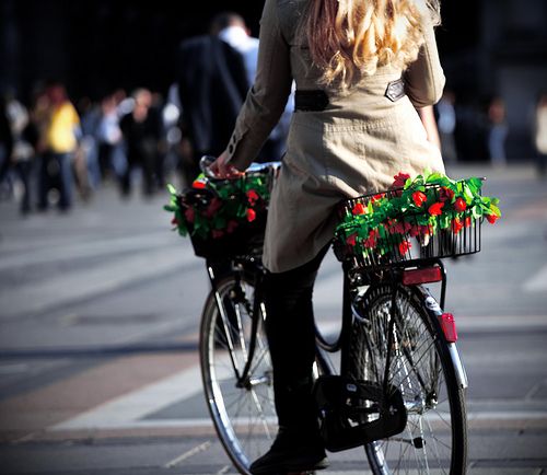 wpid-8333_bici.jpg