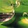 wpid-acqua.jpg
