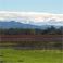 wpid-paesaggio.jpg