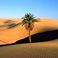 wpid-sahara.jpg