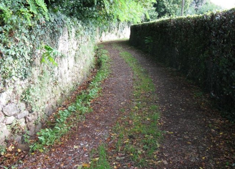 strada_vicinale